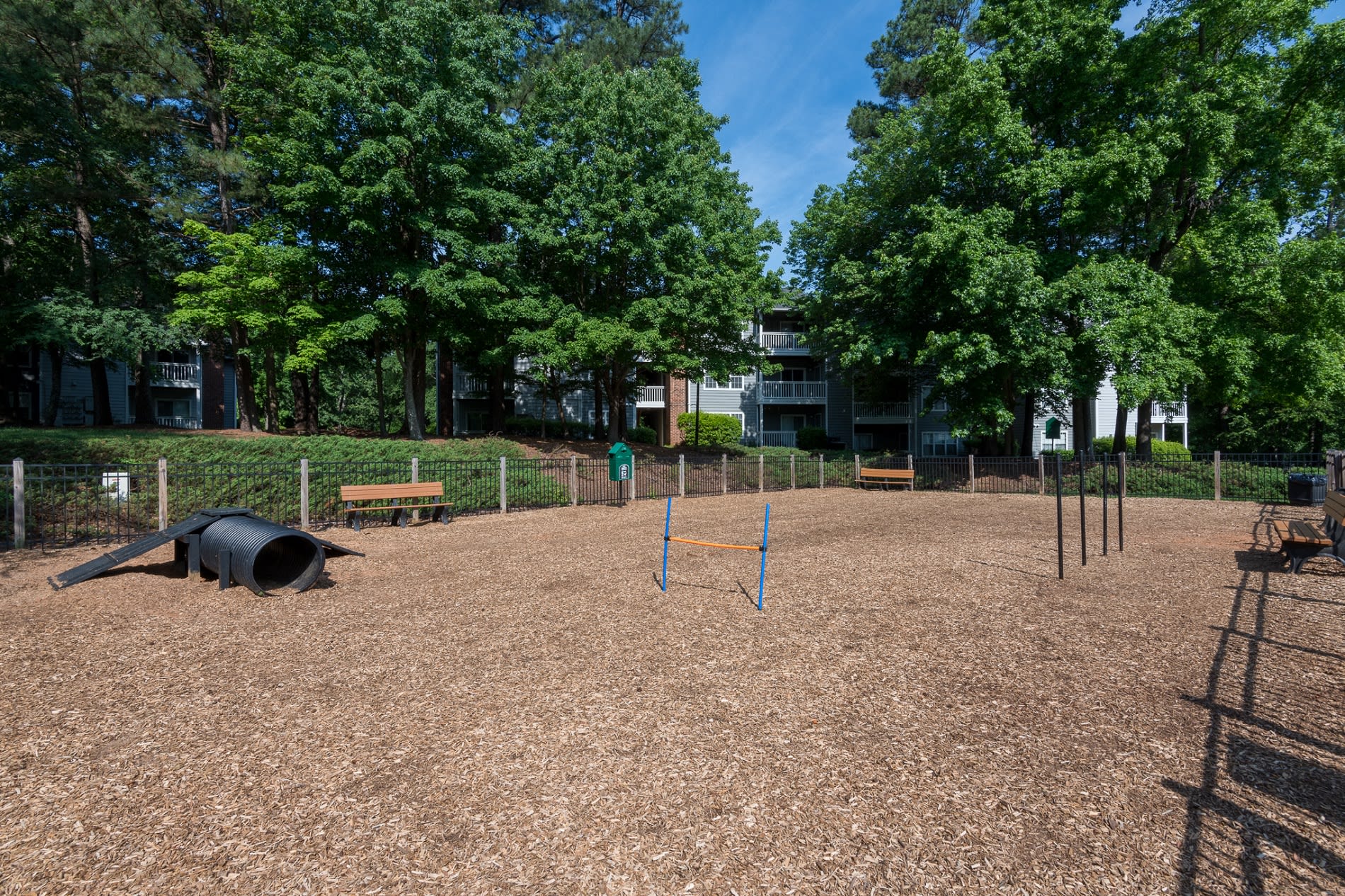 Dog Park Bridgeport|Dog Park